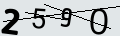 verifycode